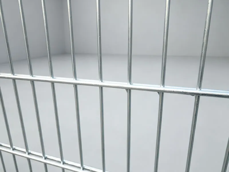 Galvanized Double Wire Fence